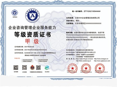 申報企業(yè)咨詢管理資質投標 須備