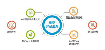 二維碼防偽溯源系統(tǒng) 增加消費(fèi)者防偽意識